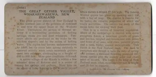 Stereo-Fotografie Keystone View Co., Meadville, Ansicht Whakarewarewa, the Great Geyser Valley in New Zealand