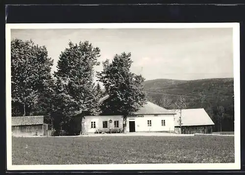 AK Ulrichsberg /O.-Oe., Blick zum Gasthaus v. Franz Steininger