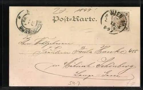 AK Kalender 1899, Dame mit Neujahrsgruss