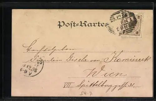 AK Kalender 1899, Dame mit Neujahrsgruss und Glücksbringern