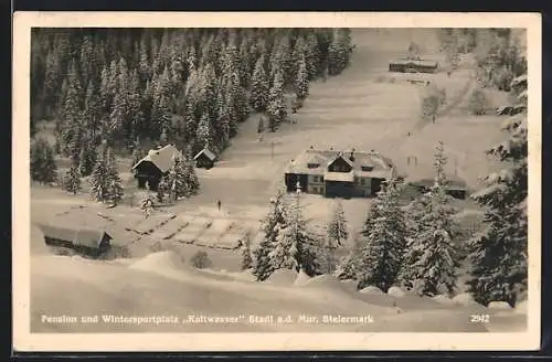 AK Stadl a. d. Mur /Steiermark, Pension Kaltwasser im Schnee