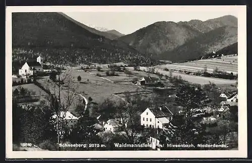 AK Waidmannsfeld /Niederdonau, Ortspartie mit Schneeberg