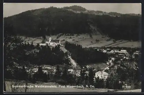 AK Waidmannsfeld /N.-Oe., Panorama mit Kirche