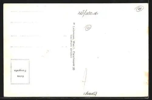 AK Waidmannsfeld /N.-Oe., Panorama mit Kirche