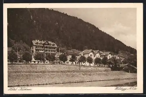 AK Waldegg /N.-Oe., Hotel Kuchner