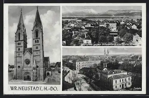 AK Wr. Neustadt, Domkirche, Totalansicht gegen Schneeberg und Hohe Wand