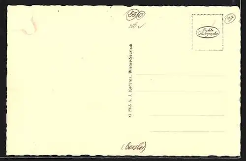 AK Wiener Neustadt, Panorama