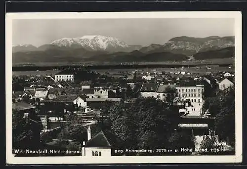 AK Wr. Neustadt, Panorama gegen Schneeberg