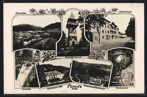 AK Pernitz, Hotel Singer, Raimund-Villa, Sanatorium Wienerwald