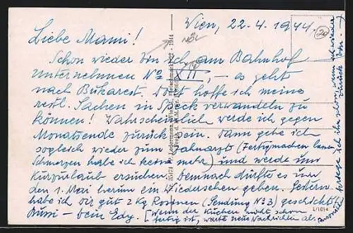 AK Wr.-Neustadt /N.-Do., Teilansicht gegen Schneeberg und Hohe Wand