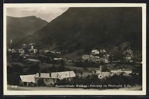 AK Waldegg-Peisching im Piestingtal, Teilansicht mit Bergen