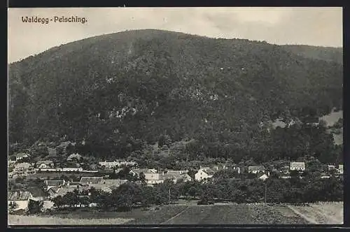 AK Waldegg-Peisching, Teilansicht