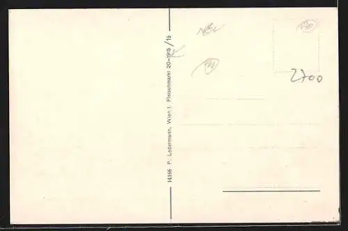 AK Wr.-Neustadt, K. u. k. Theresianische Militär-Akademie