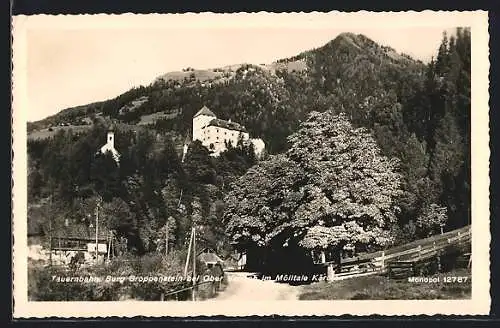 AK Ober Vellach, Blick zur Burg Groppenstein