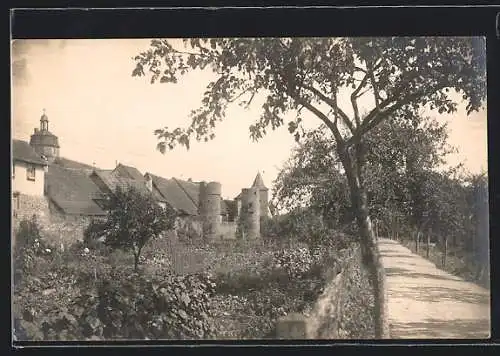 Foto-AK Main Bernheim, Wegpartie bei der Ortschaft