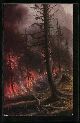Künstler-AK Wohlgemuth & Lissner, Primus-Postkarte No.892: Waldbrand