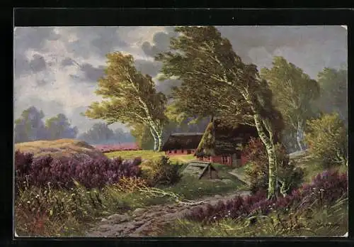 Künstler-AK Wohlgemuth & Lissner, Primus-Postkarte No. 879: Landschaft bei Wind