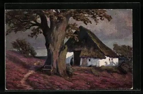 Künstler-AK Wohlgemuth & Lissner, Primus-Postkarte No. 817: friesisches Bauernhaus
