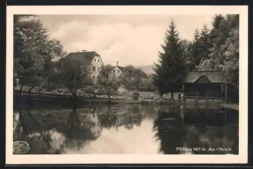 AK Pöllau, der Au-Teich