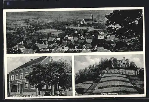 AK Ortenberg /Schwarzwald, Gasthaus zum grünen Winkel A. Braun Wwe., Schloss, Teilansicht