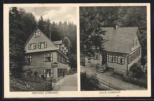 AK Bad Griesbach /Schwarzwald, Kaufhaus und Villa Schrempp aus der Vogelschau