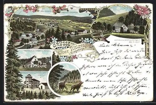 Lithographie Ober Rittersgrün / Erzgebirge, Gasthaus von Ludmilla Patsch, Gasthaus zur Böhmischen Mühle