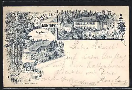 Lithographie Kaltenbronn, Gasthaus mit Strasse, Jagdhaus, Hirsch