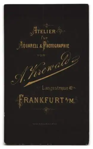 Fotografie A. Krewald, Frankfurt a. M., Langestr. 40, Junger Herr im Anzug mit Fliege