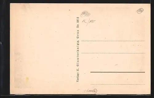 AK Ebene Reichenau, Ortsansicht aus der Vogelschau