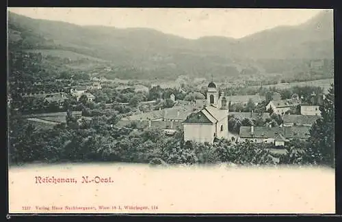 AK Reichenau, Ortsansicht mit Kirche