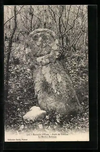 AK Fort de Tredion, Le Menhir Babouin