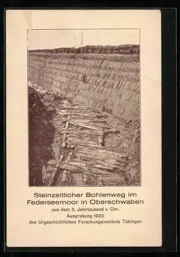 AK Federseemoor, Steinzeitlicher Bohlenweg, Ausgrabung 1920