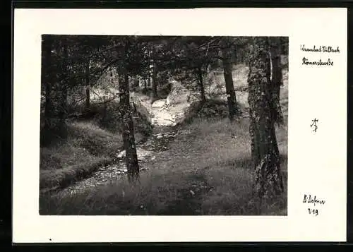 Foto-AK Adalbert Defner: Villach, Blick zur Römerstrasse