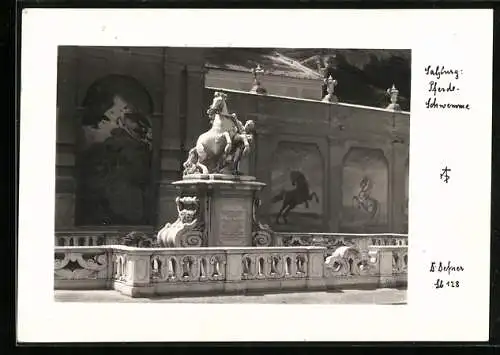 Foto-AK Adalbert Defner: Salzburg, Pferde-Schwemme