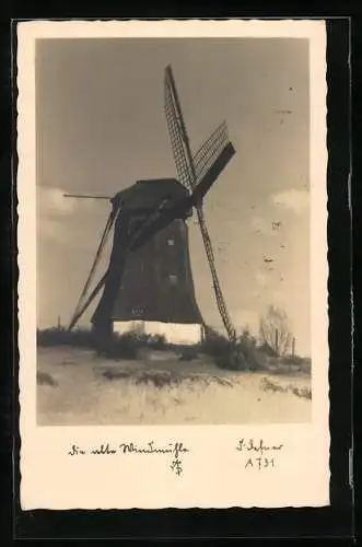 Foto-AK Adalbert Defner: Alte Windmühle