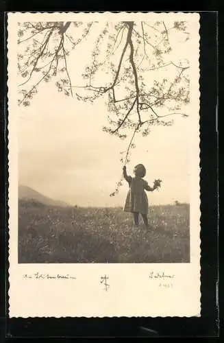 Foto-AK Adalbert Defner: Kleines Mädchen bei einem blühenden Baum