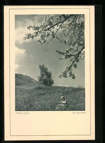 Foto-AK Adalbert Defner: Mädchen auf einer Frühlingswiese