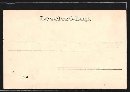 AK Forchtenstein, Blick zur Burg Forchtenau