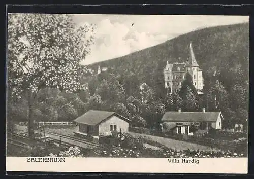 AK Bad Sauerbrunn, Villa Hardig im Frühling