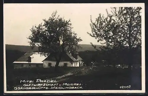 AK Weidlingbach, Gasthaus u. Meierei Gsängerhütte