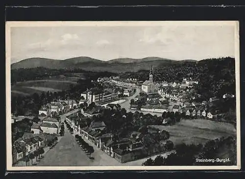 AK Steinberg, Ortsansicht aus der Vogelschau