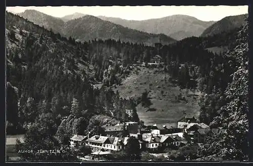 AK Türnitz, Das Kinderheim Auhof aus der Vogelschau