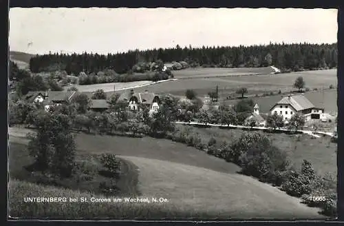 AK St. Corona am Wechsel, Unternberg, Ortsansicht