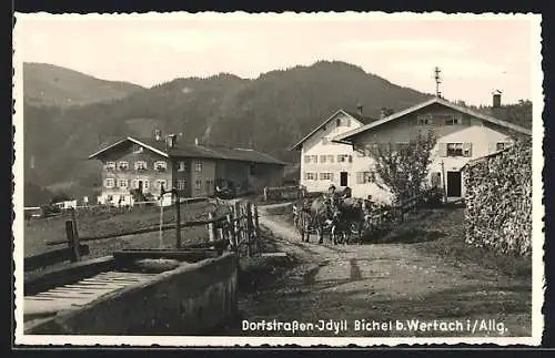 AK Bichel b. Wertach, Dorfstrasse mit Ochsenwagen