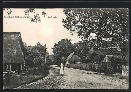 AK Schätzendorf, Strassenpartie in der Dorfstrasse