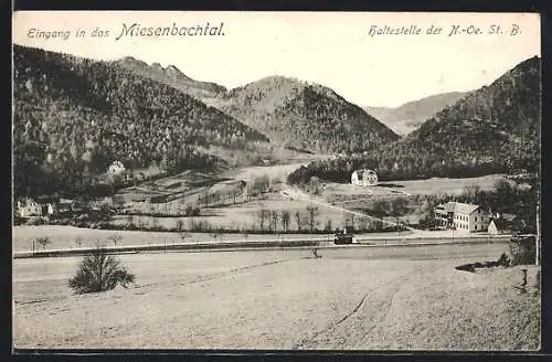 AK Miesenbach /N.-Oe., Miesenbachtal, Haltestelle der N.-Oe. Staatsbahn