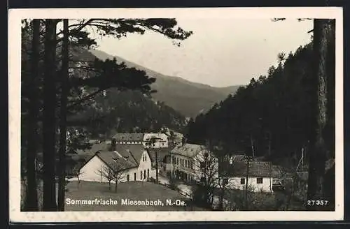 AK Miesenbach /N.-Oe., Ortspartie