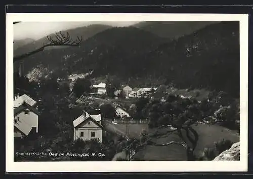 AK Waldegg, Blick auf Oed im Piestingtal