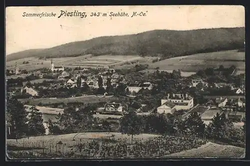 AK Piesting /N.-Oe., Teilansicht mit Kirche