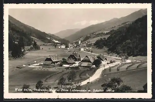 AK Wald /Obersteiermark, Meierei Fürst Lichtenstein mit Schober